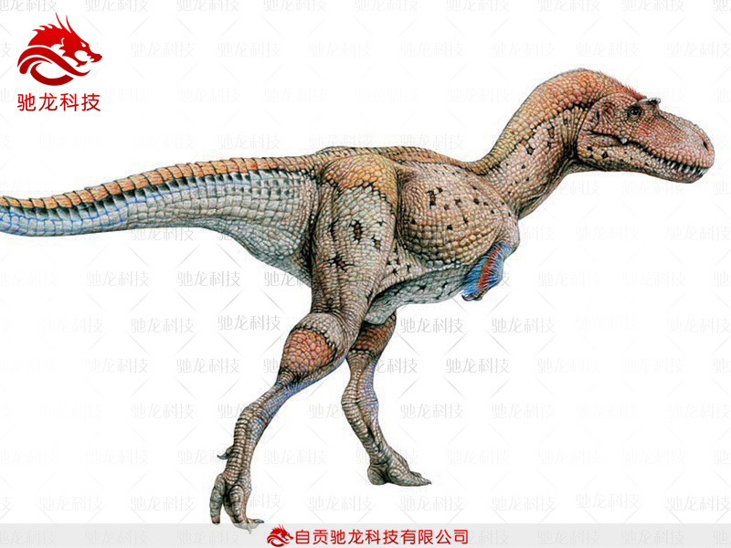 仿真恐龍骨架艾伯塔龍Albertosaurus化石