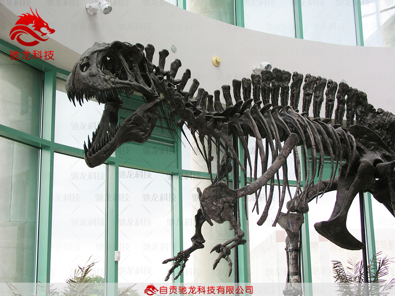 仿真恐龍骨架高棘龍化石