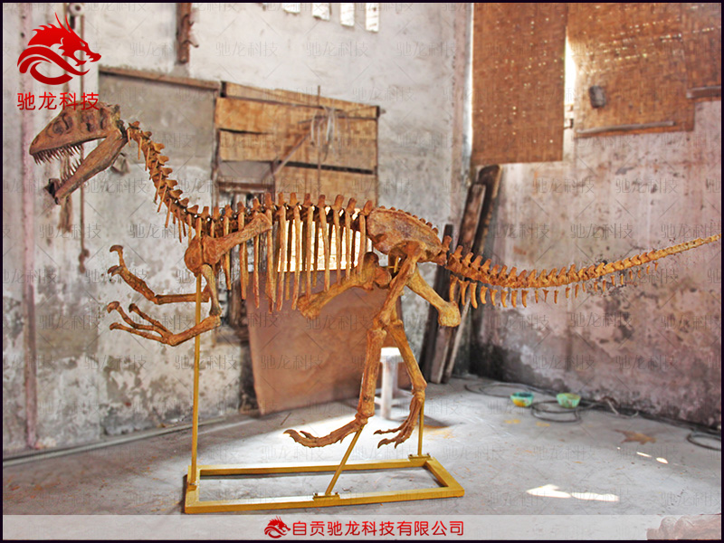 仿真單脊龍化石骨架價格1.2萬