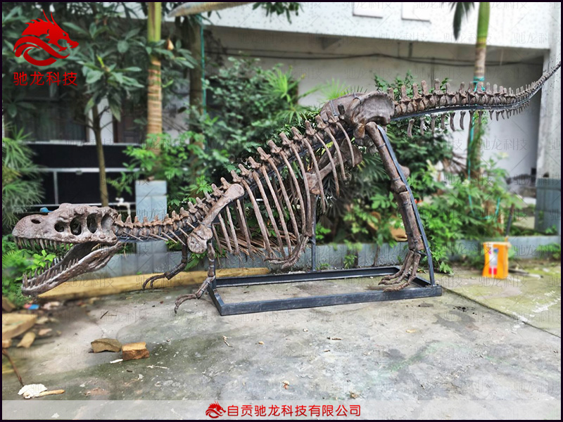 仿真霸王龍化石骨架價格1.7萬