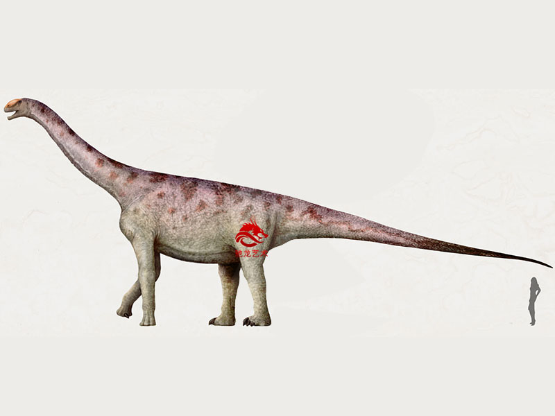 恐龍模型廠家定做大型圖里亞龍Turiasaurus(圖2)
